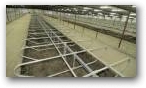 Cross Ventilated Freestall Barn  » Click to zoom ->